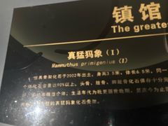 -大庆市博物馆