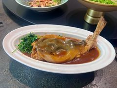 红烧河豚鱼-新光酒家·河豚·海鲜·蟹料理(浦东店)