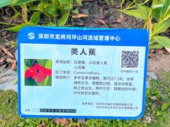 -坪山湿地公园