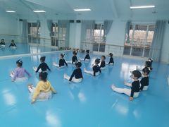 -西安小天鹅艺术团(曲江Alice店)