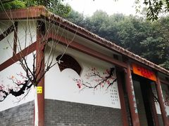 -重庆彩云湖湿地公园