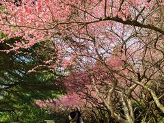 -白塘生态植物园