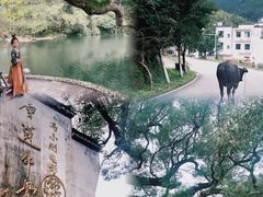-上坦村