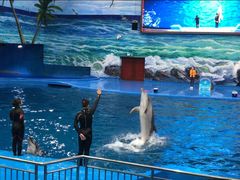 -多彩贵州城极地海洋世界