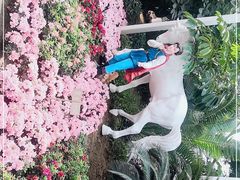 -石家庄市植物园