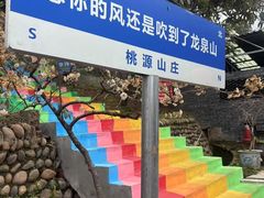 -桃源山庄·水蜜桃采摘·柴火鸡·烧烤团建(龙泉山店)