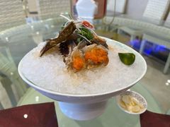 -皇朝海鲜酒店