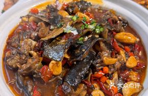 Killer Softshell Turtle