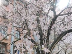-稀物集咖啡(徽州大道店)