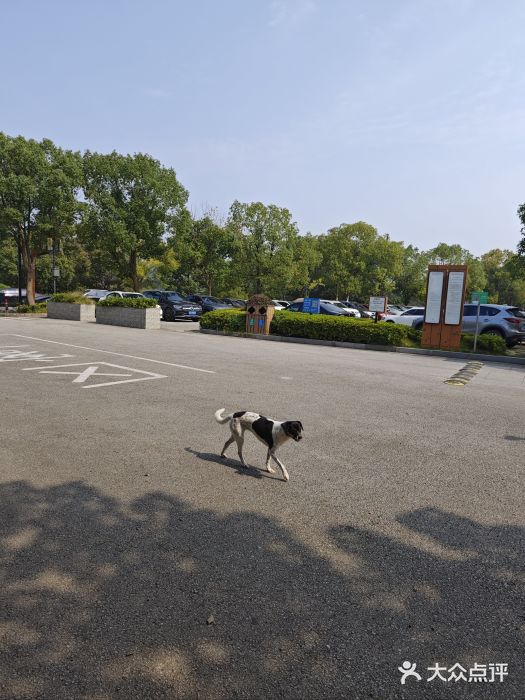 穹窿山景区图片