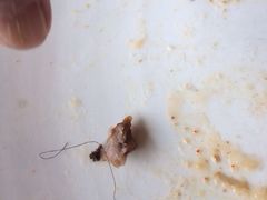 iphone_upload_pic-那达慕蒙古风味酒楼