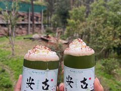-安吉竹博园