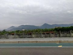 -三垟湿地
