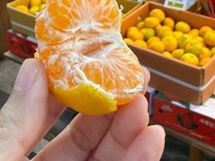 -西归浦每天偶来市场