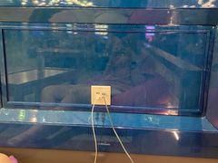 -青水瓦台汤泉(未央店)