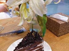 -藏猫猫咖啡主题馆(中央大道店)