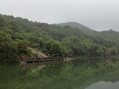 莲花湖-广州市石门国家森林公园