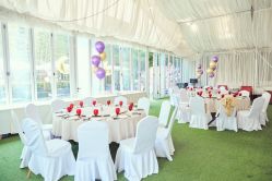 -派对猴生日派对策划