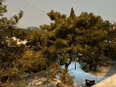 -曲水兰亭(北京四惠店)