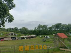 -大塘金香草谷