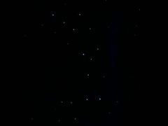 -怀托摩萤火虫洞