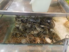 -春华海鲜城(广场西苑店)