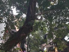 -重庆十八梯传统风貌区