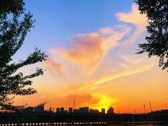 -长白岛森林公园