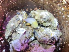 -蚝堡海鲜·威海菜·海肠捞饭·烧烤·亚洲吃蚝公司(幸福门店)