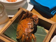 -涛·海底餐厅·美人鱼·自助餐·海底隧道(三亚海棠湾洲际度假酒店)