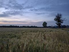 -汉长安城未央宫国家考古遗址公园