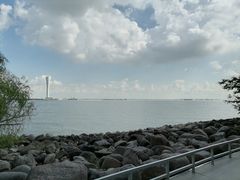 -上海吴淞炮台湾国家湿地公园