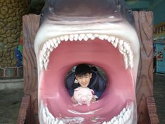 -芜湖新华联大白鲸海洋公园