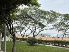 -碧海金沙