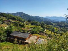 -紫鹊界梯田景区