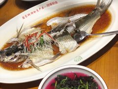 翘嘴鲌鱼-丹江渔村(望京店)