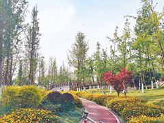 -府河摄影公园