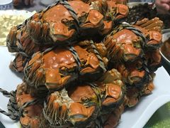 -乡乐园蟹庄·阳澄湖农家乐