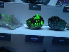 -湖南省地质博物馆