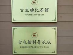 -自然谷恐龙园