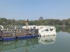 -金鸡湖桃花岛