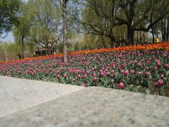 -长春公园(普阳街道)