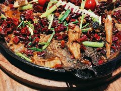 -老板恋上鱼(恒隆广场店)