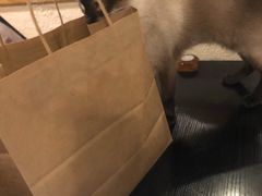 -猫小院猫主题咖啡厅(北锣店)