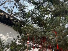 -东山雕花楼