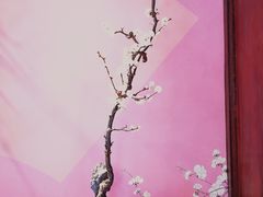 -颐和园