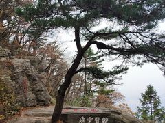 -庐山风景区花径公园