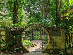 -中国科学院西双版纳热带植物园