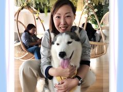 -Husky Go! 哈士奇体验馆·宠物咖啡厅狗咖