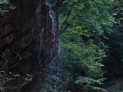 -西岭雪山大飞水景区